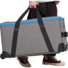 NANLITE TROLLEY CASE FOR FC-500B 2LIGHT KIT