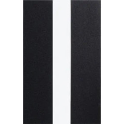 GUTEK T-300 PROTECTOR CASE EXTRA DIVIDER