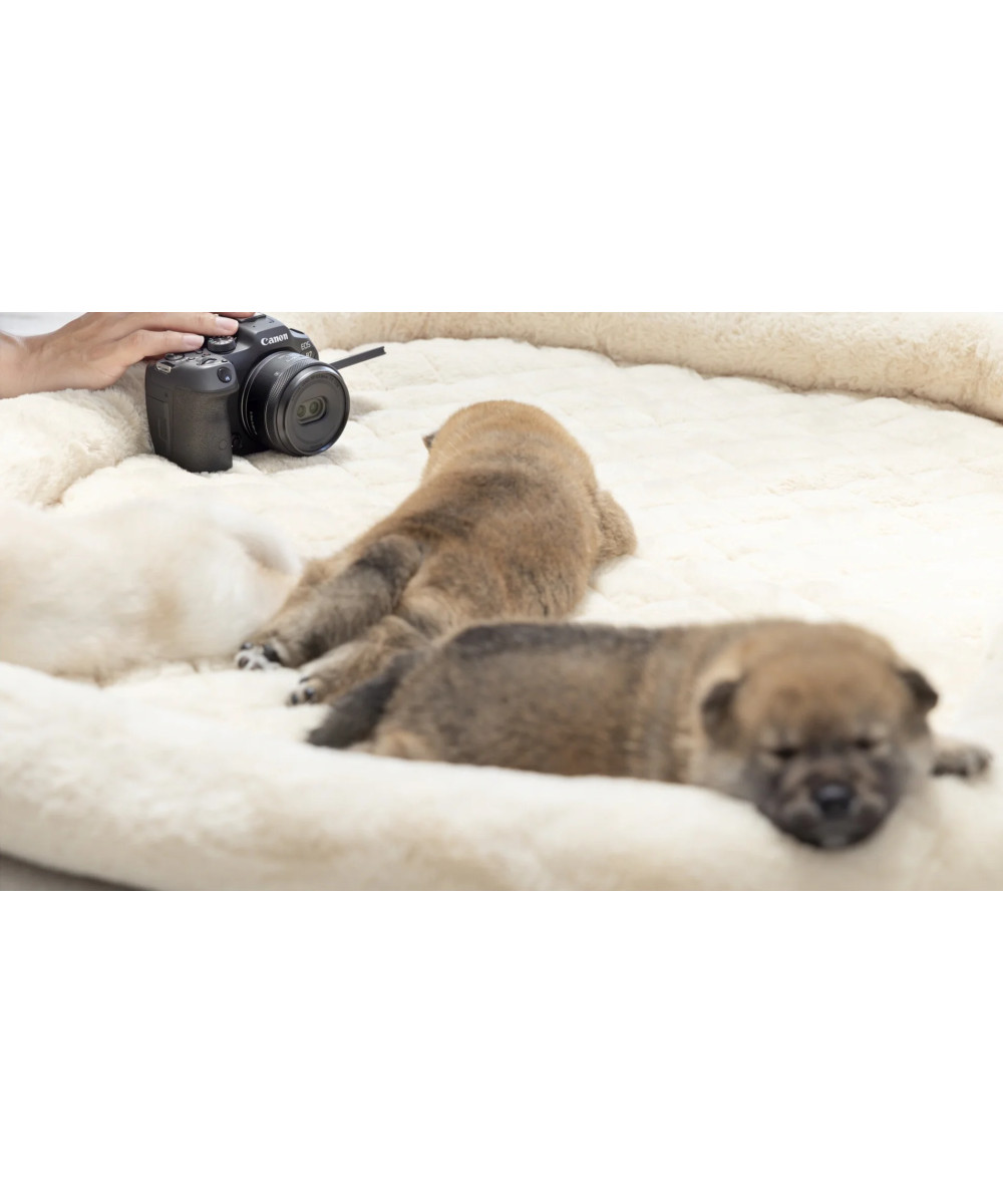 RF-S 7.8mm F4 STM DUAL MILC Lente stereoscopica Nero