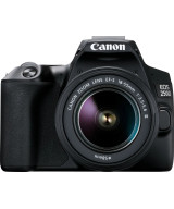 EOS 250D + EF-S DC 18-55mm f/3.5-5.6 III