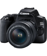 EOS 250D + EF-S DC 18-55mm f/3.5-5.6 III