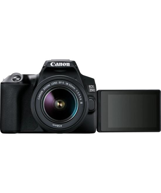 EOS 250D + EF-S DC 18-55mm f/3.5-5.6 III