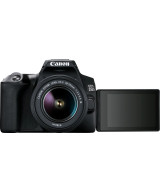 EOS 250D + EF-S DC 18-55mm f/3.5-5.6 III