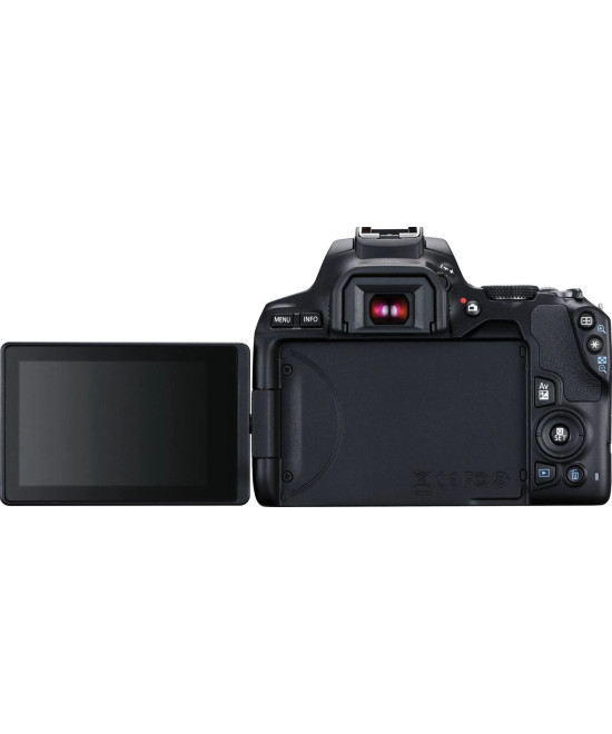 EOS 250D + EF-S DC 18-55mm f/3.5-5.6 III