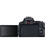 EOS 250D + EF-S DC 18-55mm f/3.5-5.6 III