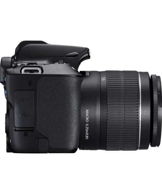 EOS 250D + EF-S DC 18-55mm f/3.5-5.6 III