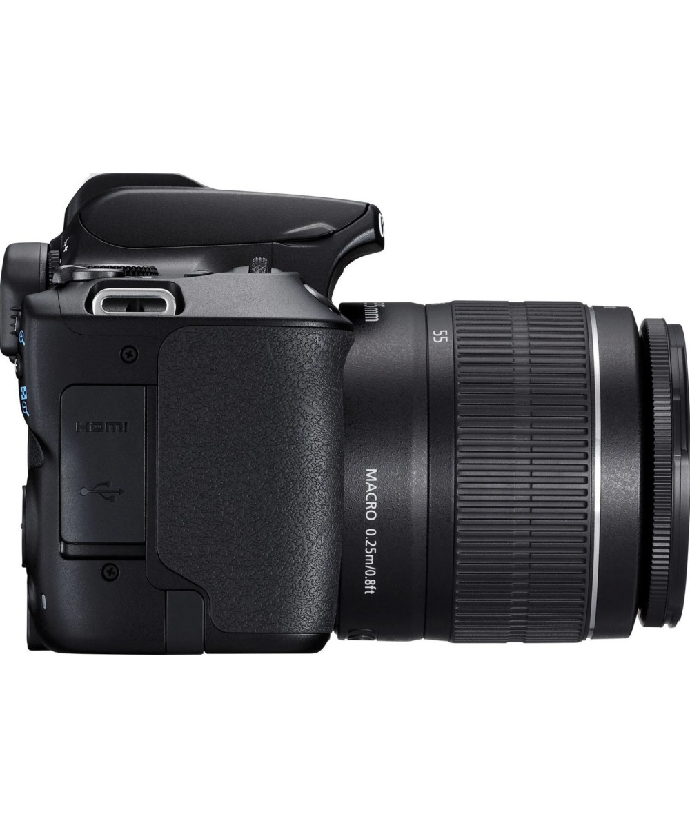 EOS 250D + EF-S DC 18-55mm f/3.5-5.6 III