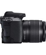 EOS 250D + EF-S DC 18-55mm f/3.5-5.6 III