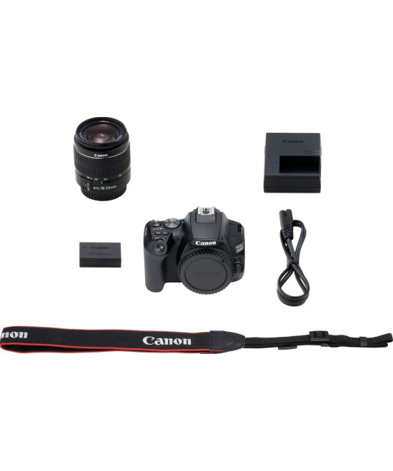 EOS 250D + EF-S DC 18-55mm f/3.5-5.6 III