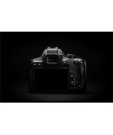 EOS 850D + EF-S 18-135mm f/3.5-5.6 IS USM