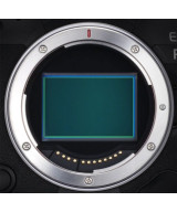 EOS R5 Body