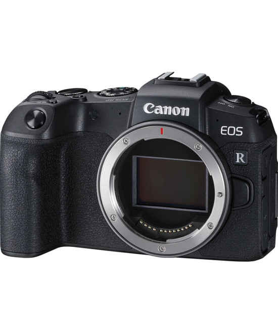 EOS RP + RF 24-105 f/4-7.1 IS STM