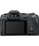 EOS R8 + RF 24-50mm f/4.5-6.3 IS STM