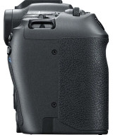 EOS R8 + RF 24-50mm f/4.5-6.3 IS STM