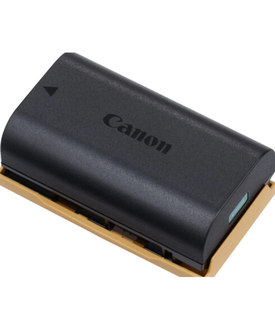 4307C002 LP-EL Batteria