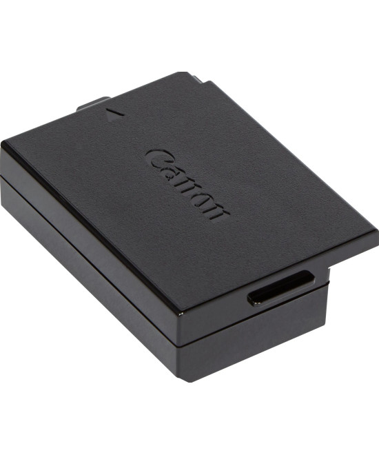 DR-E10 adattatore e invertitore Interno Nero