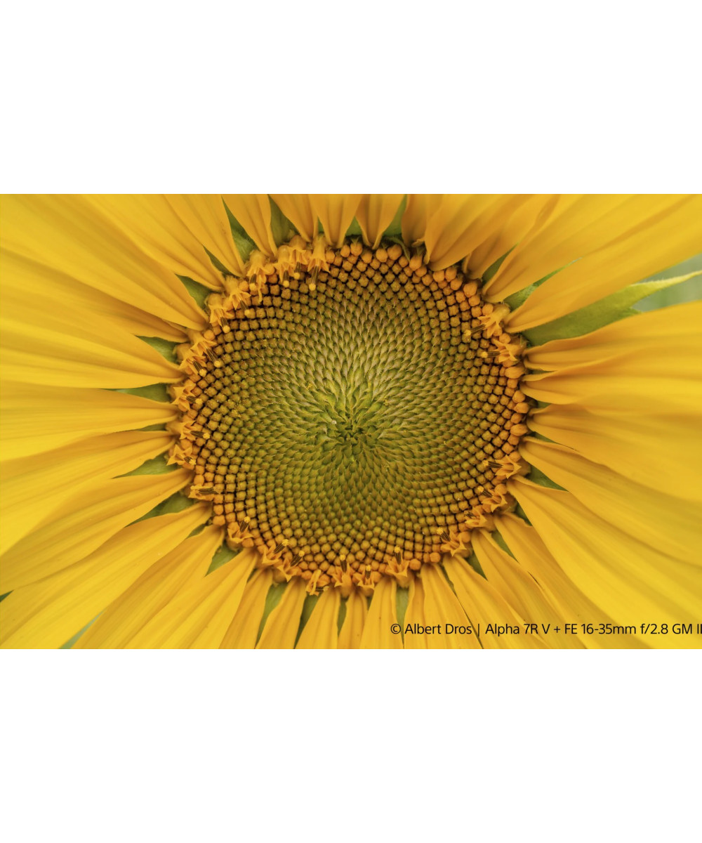 FE 16-35mm f/2.8 G Master II