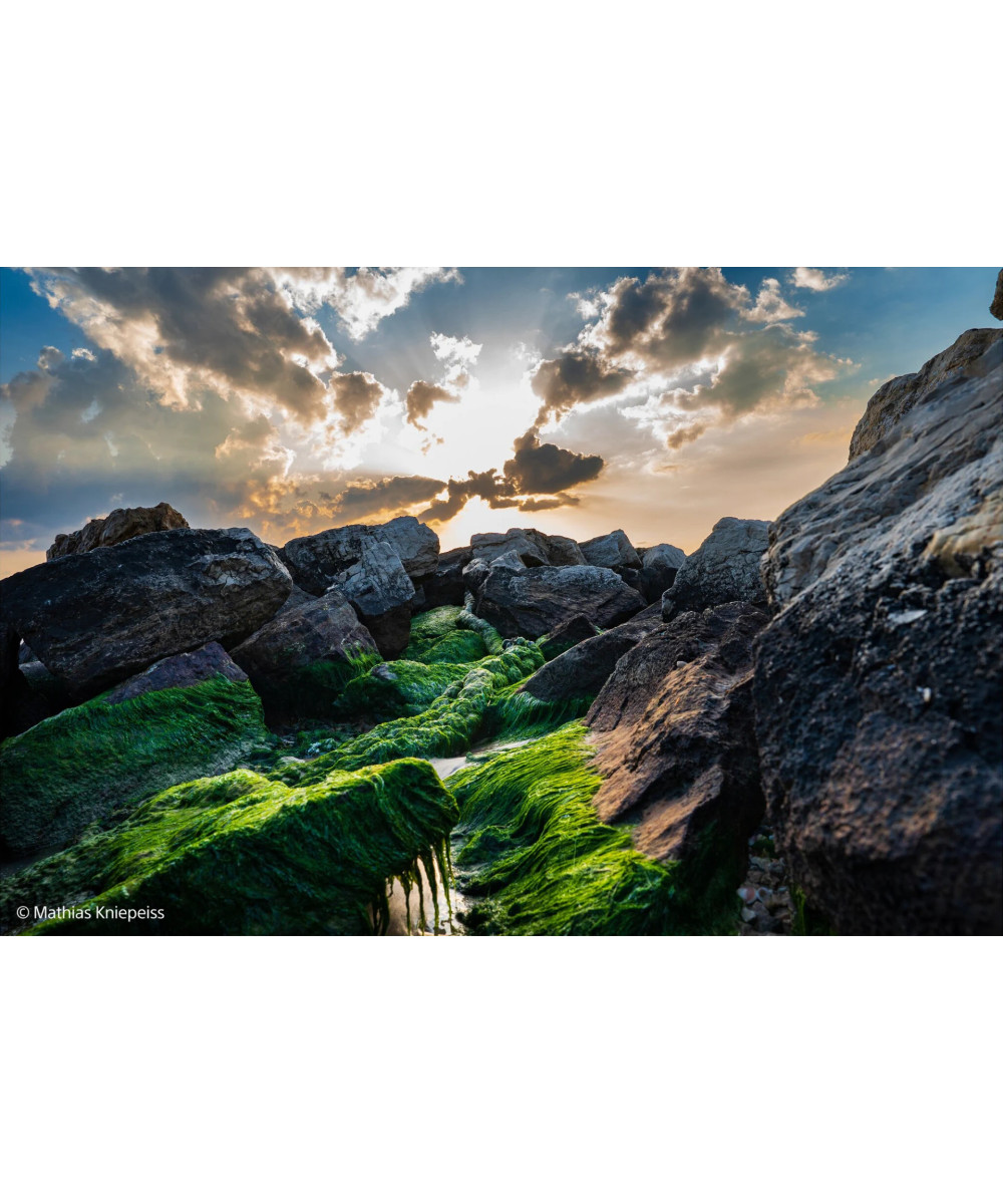 FE 24-70mm f/2.8 G Master II