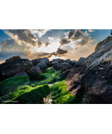 FE 24-70mm f/2.8 G Master II