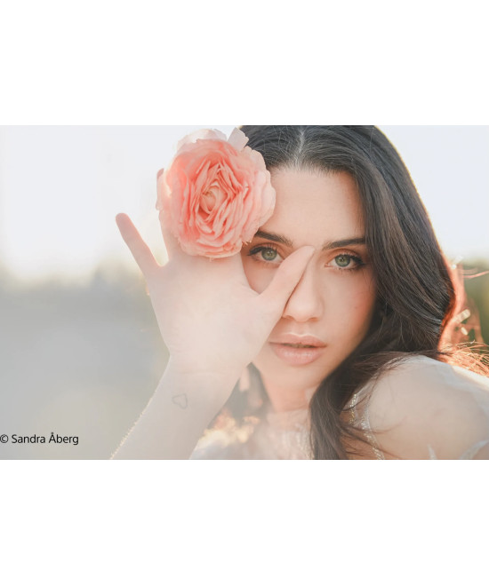 FE 50mm f/1.2 G Master