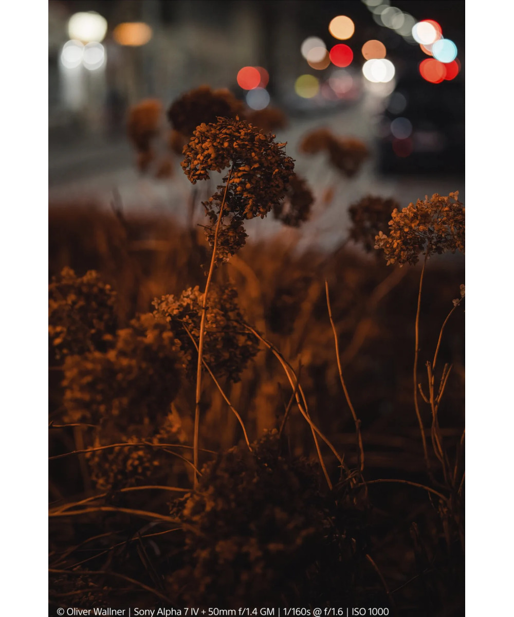 FE 50mm f/1.4 G Master GM