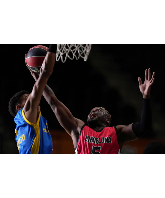 FE 300mm f/2.8 GM OSS