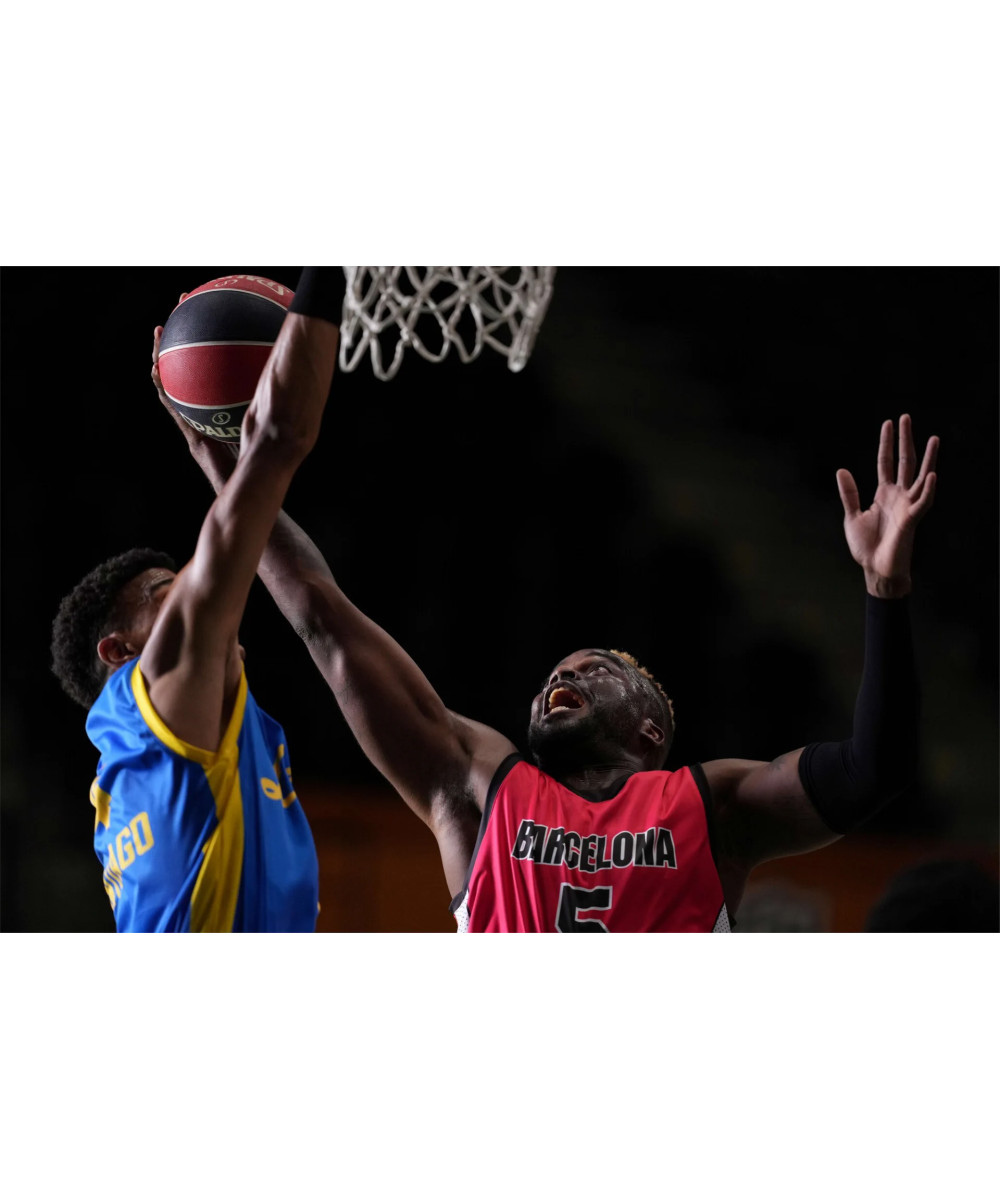 FE 300mm f/2.8 GM OSS