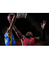 FE 300mm f/2.8 GM OSS