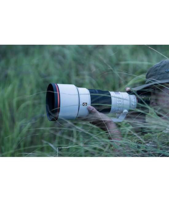 FE 300mm f/2.8 GM OSS