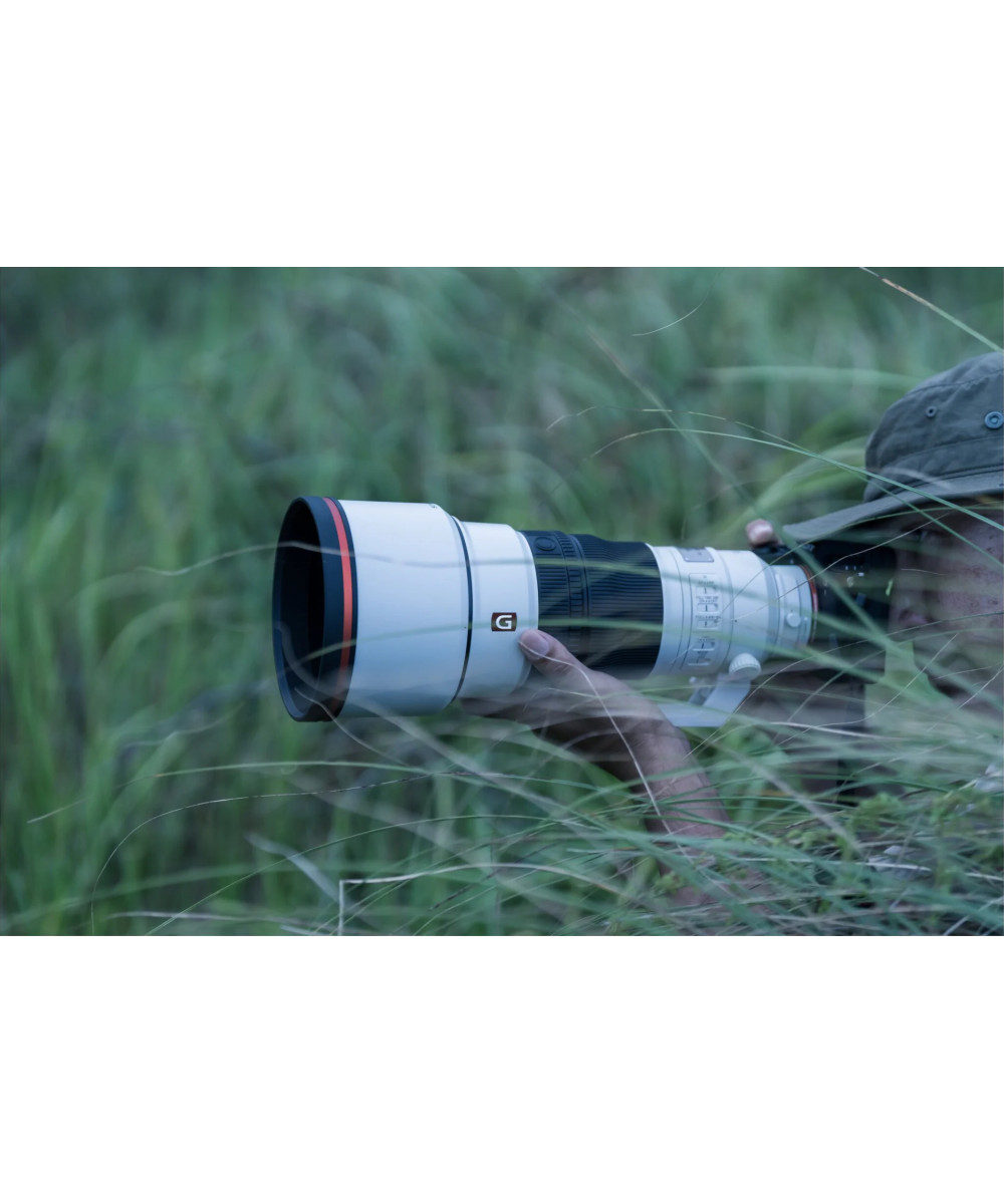 FE 300mm f/2.8 GM OSS