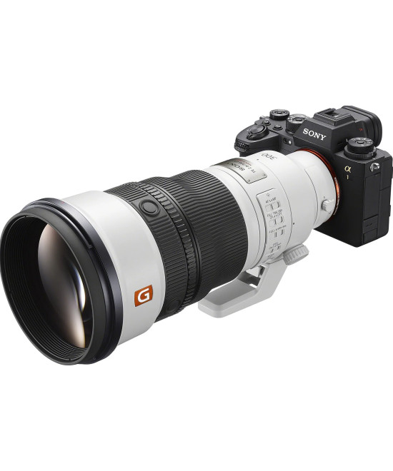 FE 300mm f/2.8 GM OSS