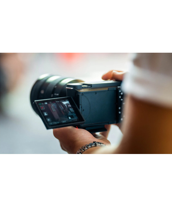 ZV-E1 + FE 28-60mm f/4-5.6