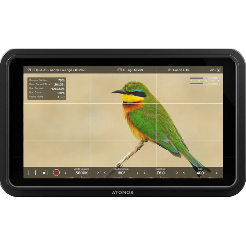 ATOMOS SHINOBI II