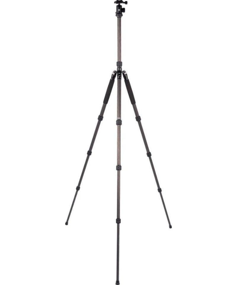 Traveler 7C