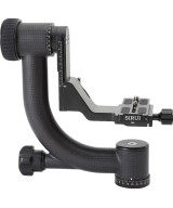 Testa Gimbal PH-20