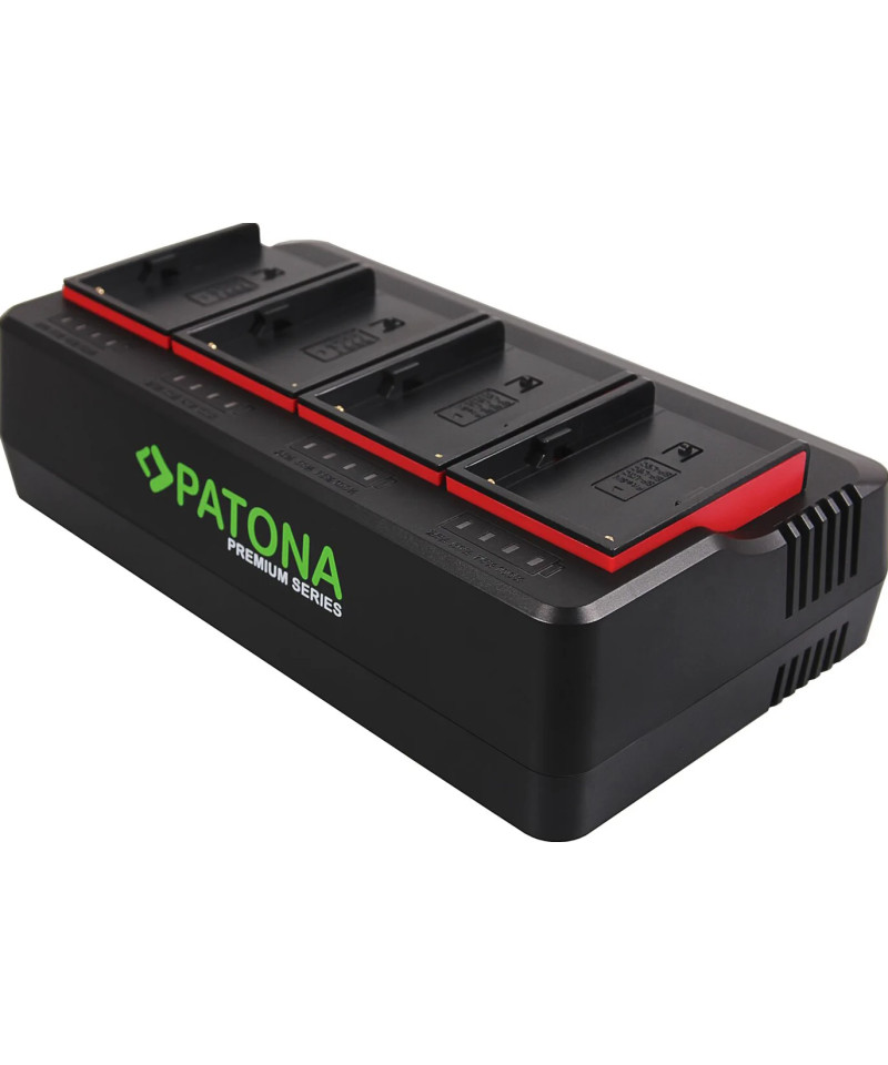 1691 carica batterie Caricatore per batteria AC