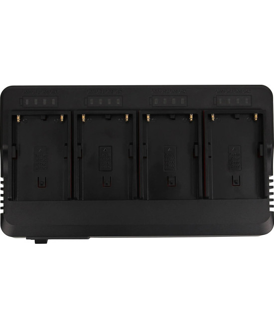 1691 carica batterie Caricatore per batteria AC