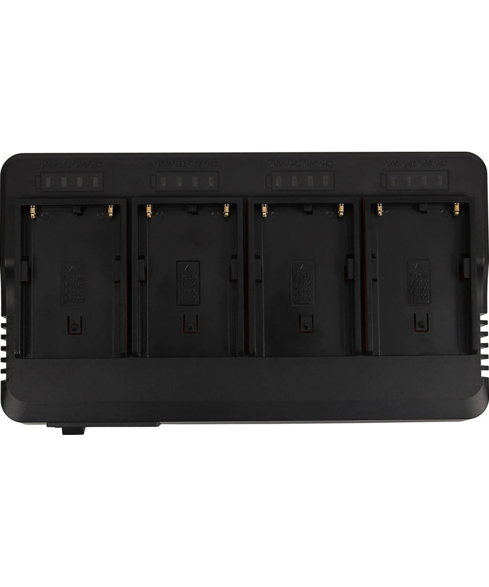 1691 carica batterie Caricatore per batteria AC