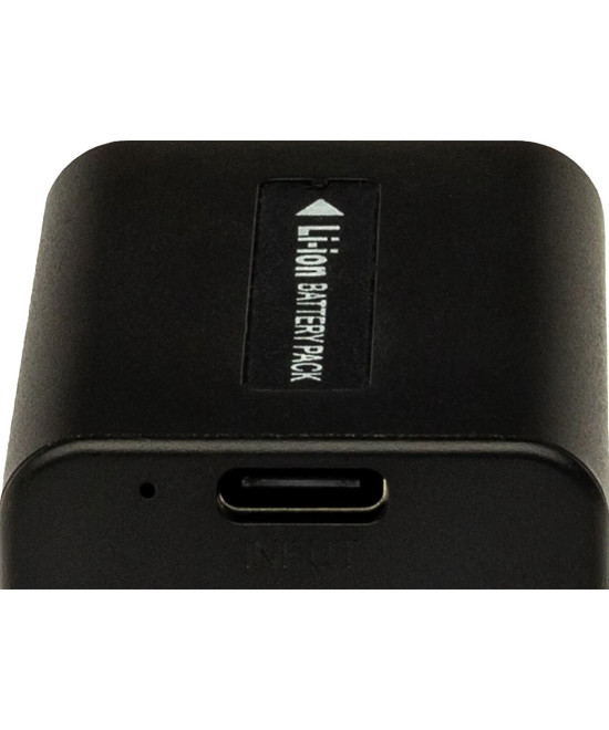 1394 Batteria per fotocamera/videocamera Ioni di Litio 2060 mAh