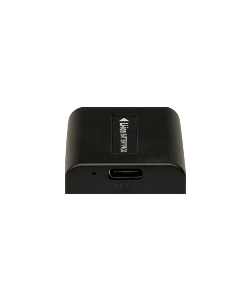 Batteria Platinum con Input USB-C per Sony NP-FV100