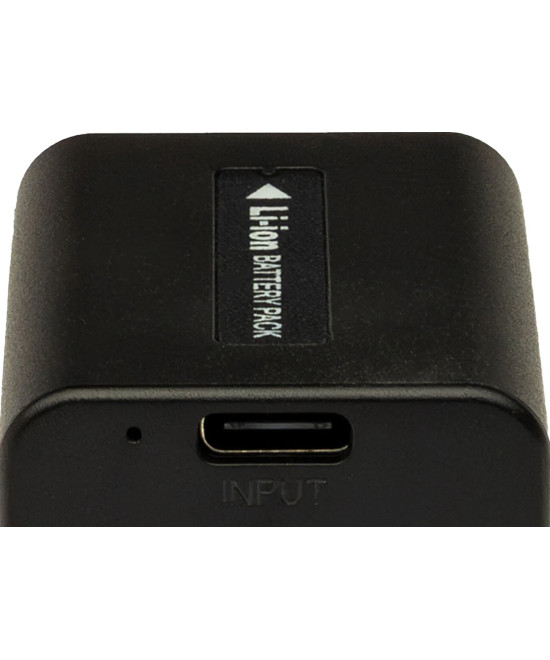 Batteria Platinum con Input USB-C per Sony NP-FV100