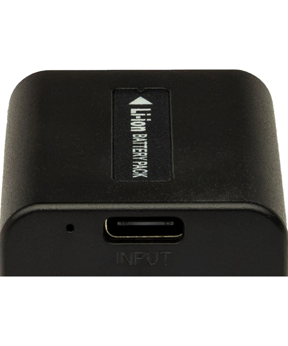 Batteria Platinum con Input USB-C per Sony NP-FV100