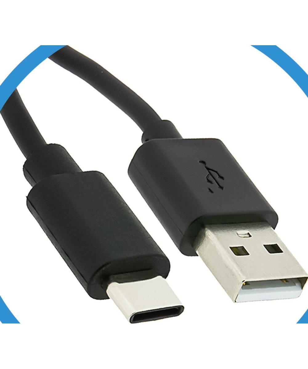 Batteria Platinum con Input USB-C per Sony NP-FV100