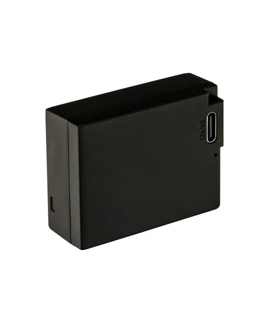 DMW-BLC12 Platinum con USB-C