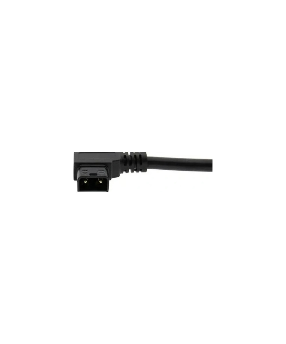 Premium PD100W Adattatore Multifunzionale da D-Tap a USB-C per Alimentazione Telefono
