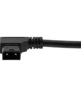 Premium PD100W Adattatore Multifunzionale da D-Tap a USB-C per Alimentazione Telefono