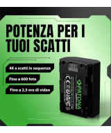 NP-FZ100 Premium 7.2 V 2250 mAh