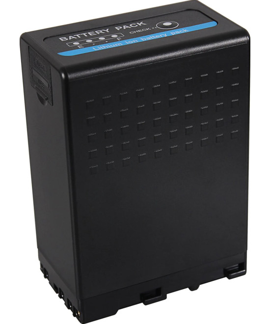 Premium per Sony BP-U68 BP-U65 BP-U60 6900mAh incl. D-Tap e porte USB