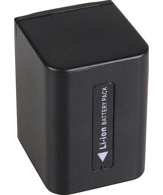 1166 Batteria per fotocamera/videocamera Ioni di Litio 1600 mAh