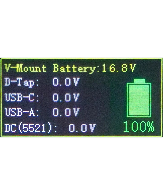 Platinum V-Mount Batteria BP-99W PD65 99Wh USB-C USB-A 2xD-Tap DC-out inclusa Custodia rigida